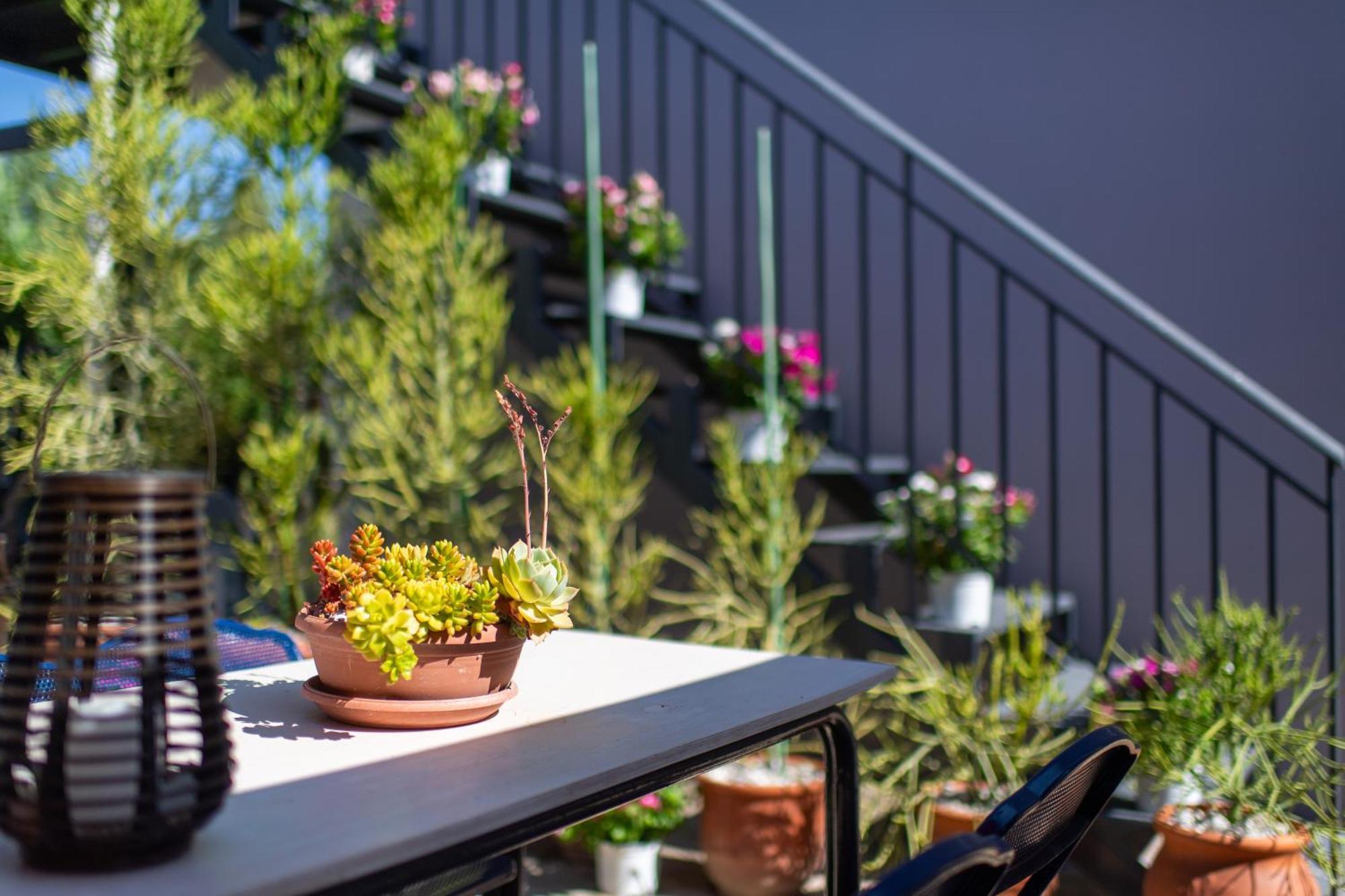 Amarylis Apartments Elaionas  Phòng bức ảnh